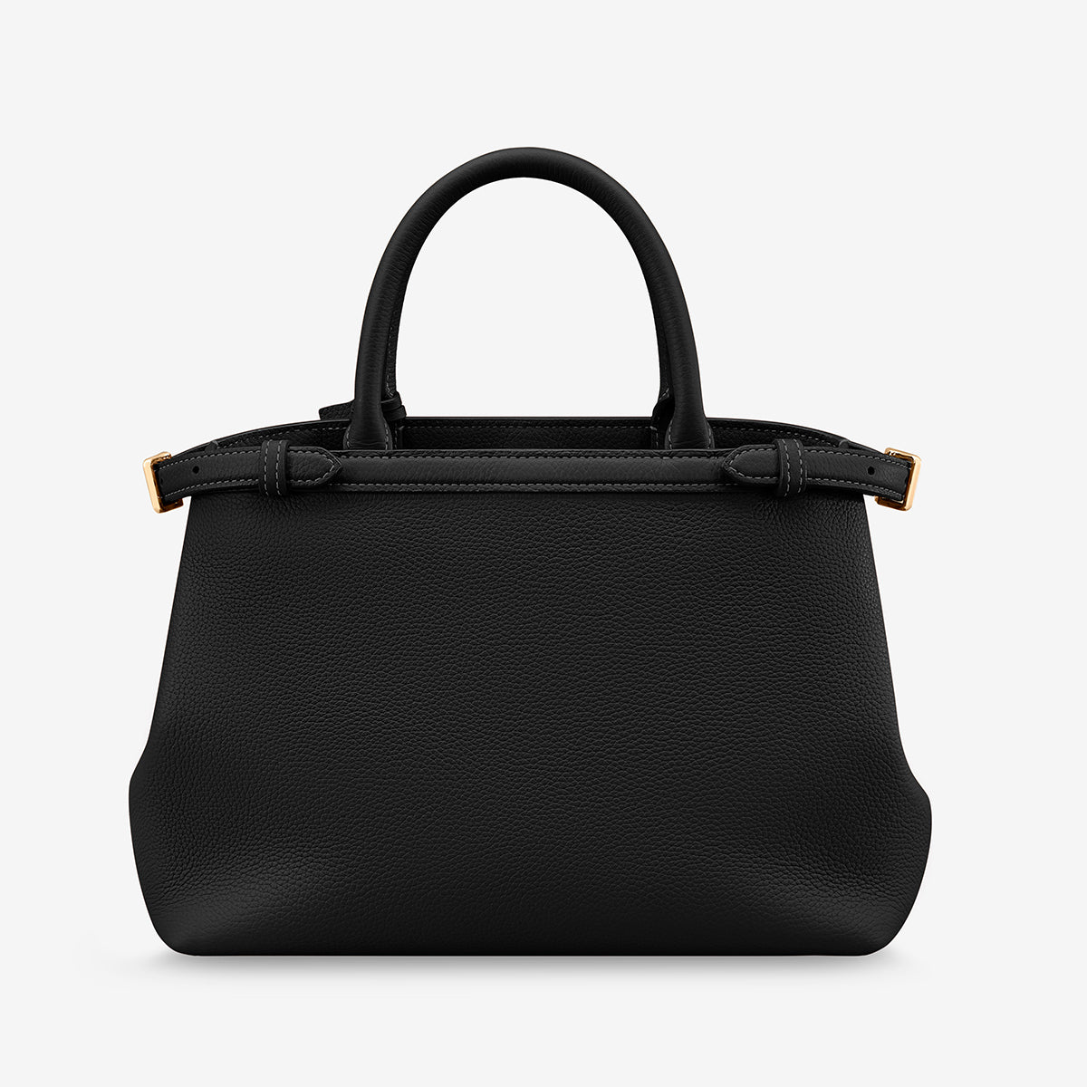 The Medium Palais - Black Caviar